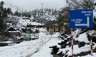 Lên Sapa ngắm tuyết, nhiều người trẻ bị cho là vô cảm?