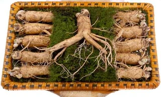 Người cao huyết áp có nên dùng sâm?