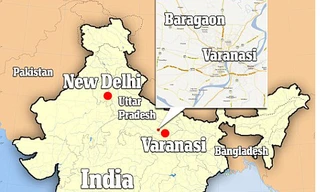 Bị vợ cắm sừng, anh Sanjay ở Ấn Độ trèo lên cây sống trong suốt 9 tháng