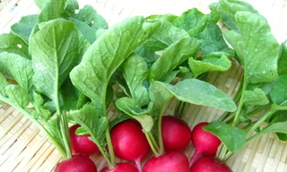 Làm đẹp từ A-Z với củ cải đỏ 