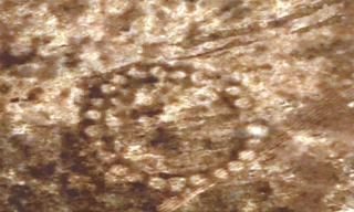 NASA công bố hình vẽ bí ẩn 8.000 năm trước tại Kazakhstan