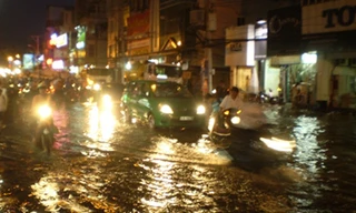 Dừng mọi cuộc họp để tập trung chống lũ