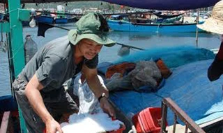 Khan hiếm hải sản cận tết