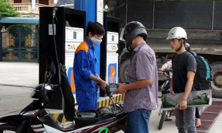 Cận Tết, xăng giảm giá gần 800 đồng/lít