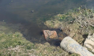 Mới nhất vụ Bệnh viện Lao - Phổi Nghệ An xả thải ra ruộng lúa