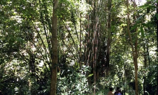 Tìm kiếm người bị mất tích