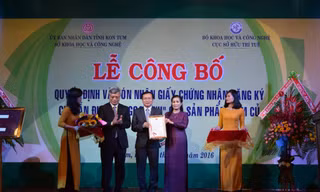 Công bố giấy chứng nhận chỉ dẫn địa lý sâm “Ngọc Linh”