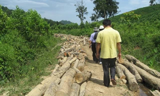 Vào sào huyệt lâm tặc