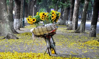 Hà Nội sang thu thời tiết đẹp