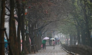 Bắc Bộ nhiều mây âm u, mưa rào và dông vài nơi