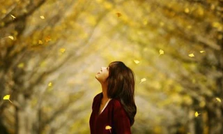 Bắc Bộ hanh khô, vùng núi cao trời rét có nơi dưới 17 độ C