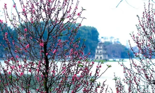 Sau ngày tiễn ông Táo, miền Bắc có nắng trời ấm áp