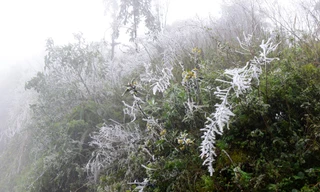 Vùng núi Bắc Bộ khả năng đón đợt băng giá mới