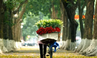 Hà Nội ngày nắng, đêm không mưa