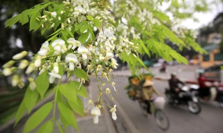 Hà Nội ngày nắng, đêm và sáng sớm trời lạnh