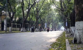 Bắc Bộ giảm mây, trời hửng nắng