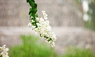 Bắc Bộ nhiều mây, mưa nắng gián đoạn