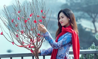 10/2 miền Bắc đón đợt gió mùa đông bắc mới, trời chuyển mưa rét