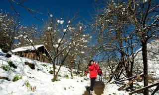 Miền Bắc đón tết dương lịch: Khả năng có mưa tuyết, băng giá