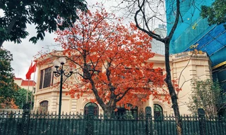 Hà Nội giảm mây, trời nắng nhẹ