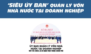[Infographics] Mô hình 'siêu ủy ban' quản lý vốn nhà nước tại DN