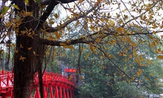 Không khí lạnh suy yếu, Bắc Bộ giảm mưa, Nam Bộ nóng 35 độ C