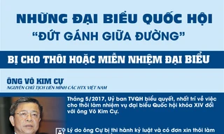 Những đại biểu Quốc hội 'đứt gánh giữa đường'