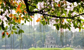 Hà Nội, TP Hồ Chí Minh nắng đẹp ngày cuối tuần