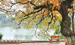 Không khí lạnh suy yếu, Bắc Bộ trời chuyển nắng