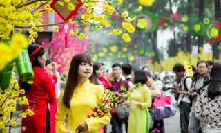 Thời tiết đêm 30 và mùng 1 Tết Kỷ Hợi ra sao?