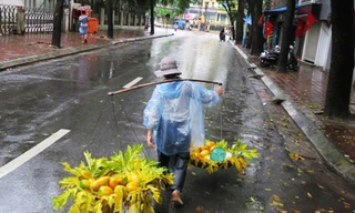 Hà Nội se lạnh kèm mưa phùn