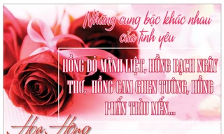 Nên tặng hoa gì vào 8/3?