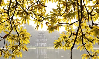 Miền Bắc chuẩn bị đón đợt rét mới vào chiều, đêm mai 10/2