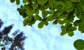 Bắc Bộ nhiều mây, mưa nắng gián đoạn