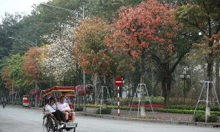 Miền Nam nắng nóng, miền Bắc sương mù, lạnh vào sáng sớm