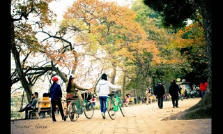 Thời tiết 26/12: Bắc Bộ sáng sớm sương mù, trưa chiều chuyển nắng