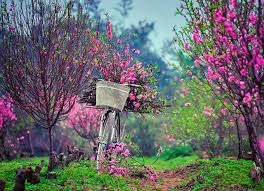 Thời tiết 13/2: Hà Nội mưa phùn và sương mù