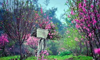 Không khí lạnh suy yếu, Bắc Bộ tăng nhiệt