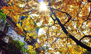 Hà Nội 3 ngày tới nắng và nóng