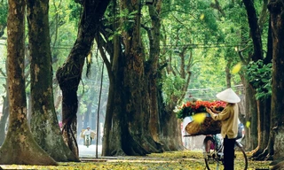 Hà Nội không mưa, giảm mây trời nắng