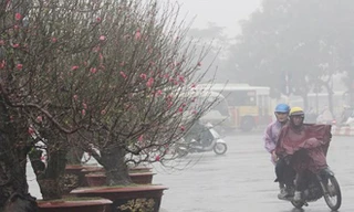 Bắc Bộ mưa nhỏ rải rác, nhiệt độ giảm nhẹ