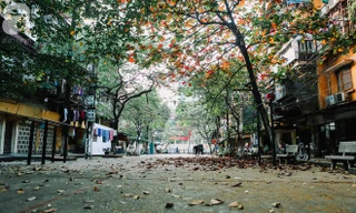 Bắc Bộ có mưa dông vài nơi