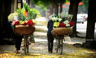 Miền Bắc hanh khô, đêm và sáng sớm lạnh