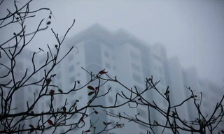 Ngày làm việc đầu tiên 2018, miền Bắc chìm trong sương mù