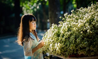 Thời tiết 18/12: Hà Nội gió đông bắc cấp 2-3, đêm và sáng trời rét