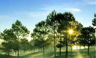 Thời tiết ngày 23/3: Ba miền nắng đẹp