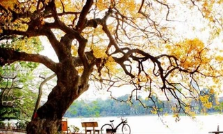 Bắc bộ tăng nhiệt, duy trì hanh khô