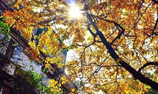 Hà Nội nắng nhẹ, TP Hồ Chí Minh có mưa