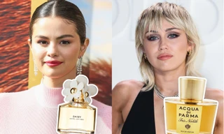 Bật mí những dòng nước hoa giúp bạn luôn cuốn hút và quyến rũ như sao Hollywood