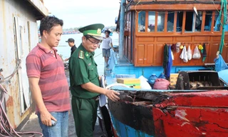 Tàu cá Quảng Ngãi bị đâm và cướp ngư cụ ở Hoàng Sa 